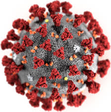 Informace o postupu proti šíření nákazy viru COVID-19