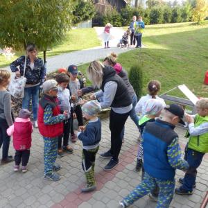 p1020967.jpg