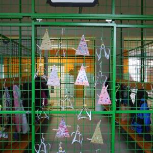 dscn0127.jpg