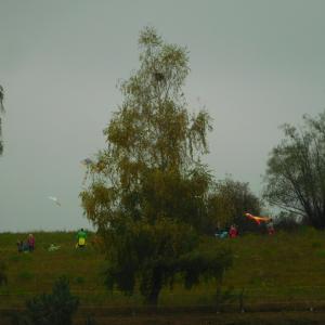 dscn0592.jpg